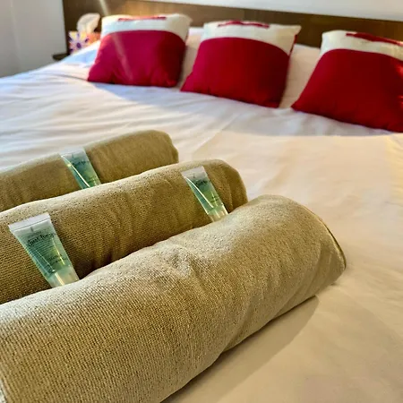 Cosy T2 - Gare De Lyon - 5e Etage דירה *